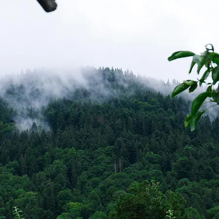Zum Kistlerwirt * Gmund am Tegernsee