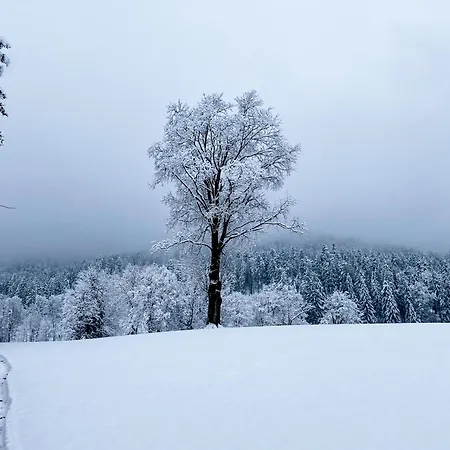 Zum Kistlerwirt Διαμέρισμα