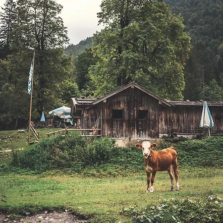 Zum Kistlerwirt Διαμέρισμα