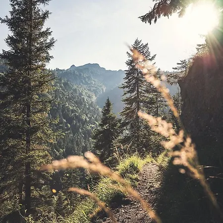 Διαμέρισμα Zum Kistlerwirt *